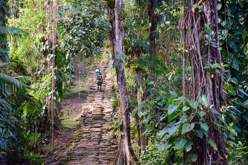 Escaliers Tayrona en Colombie