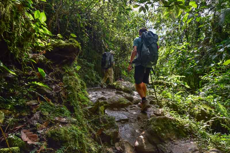 Trek dans la jungle en Colombie