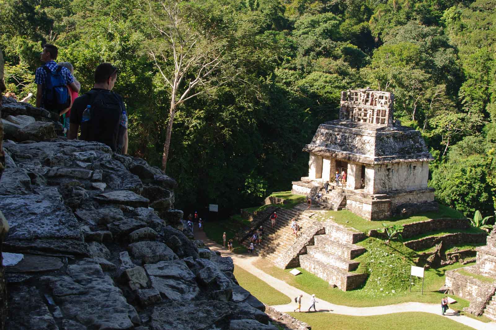 Cité maya de palenque, dans les Chiapas au Mexique