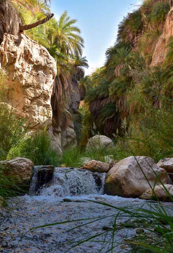 Cascade et végétation dans le Wadi Bin Hammad en Jordanie