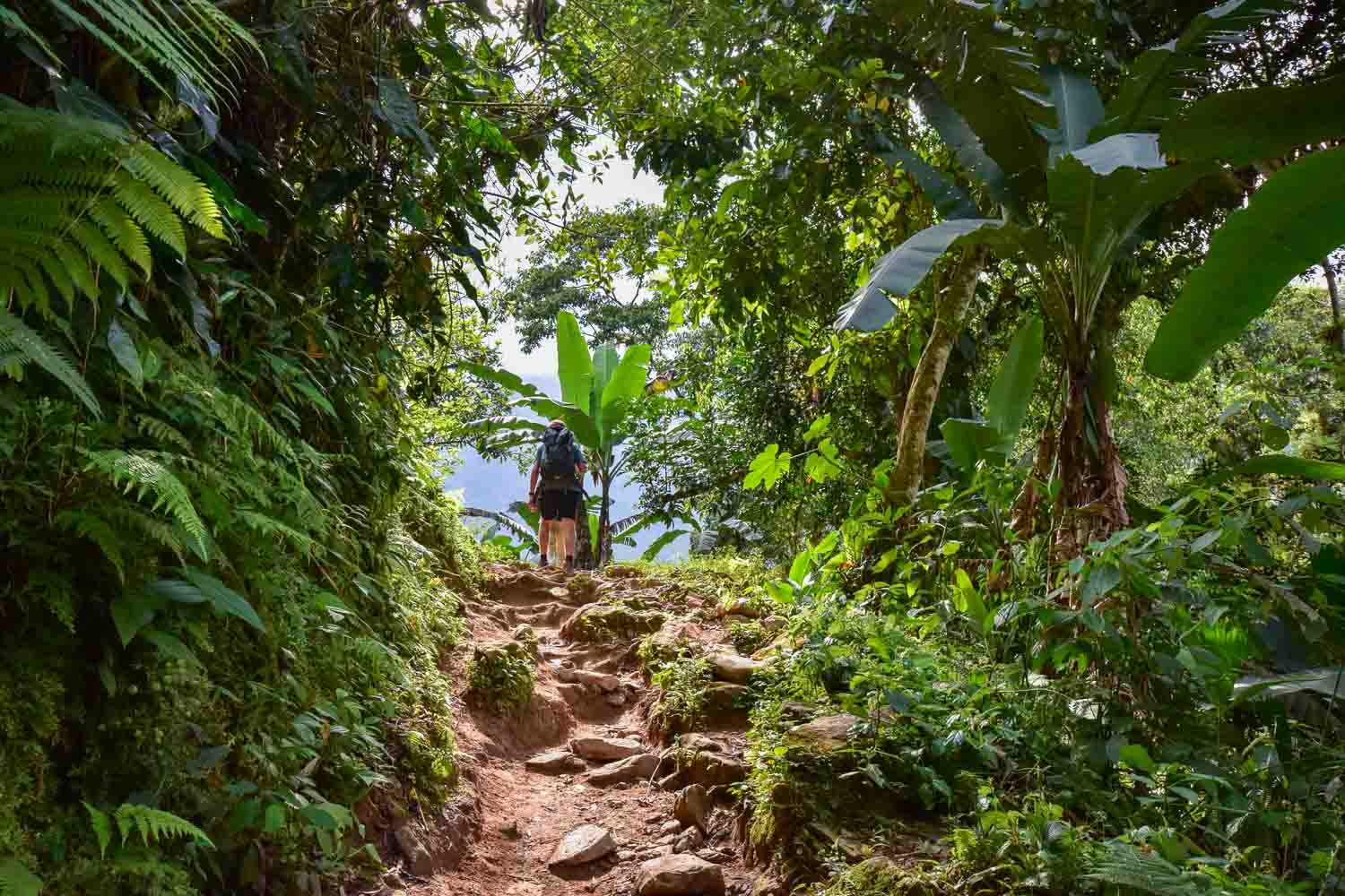 Randonnée et trekking en Colombie