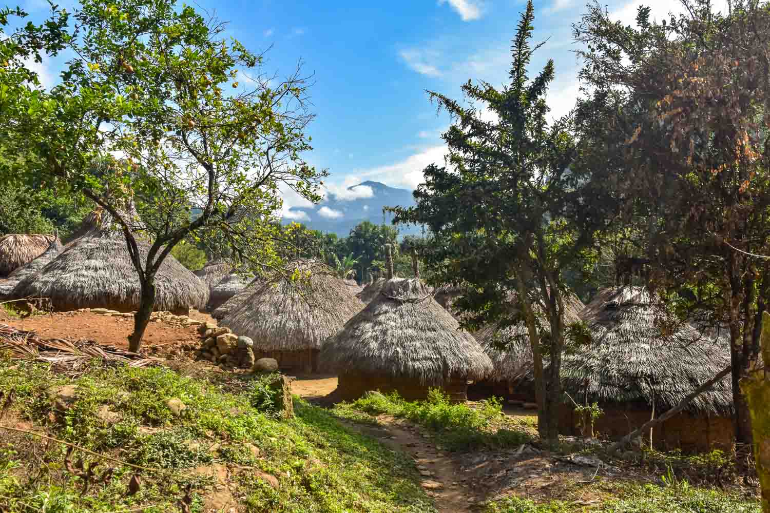 Maisons typiques d’un village Kogi en Colombie