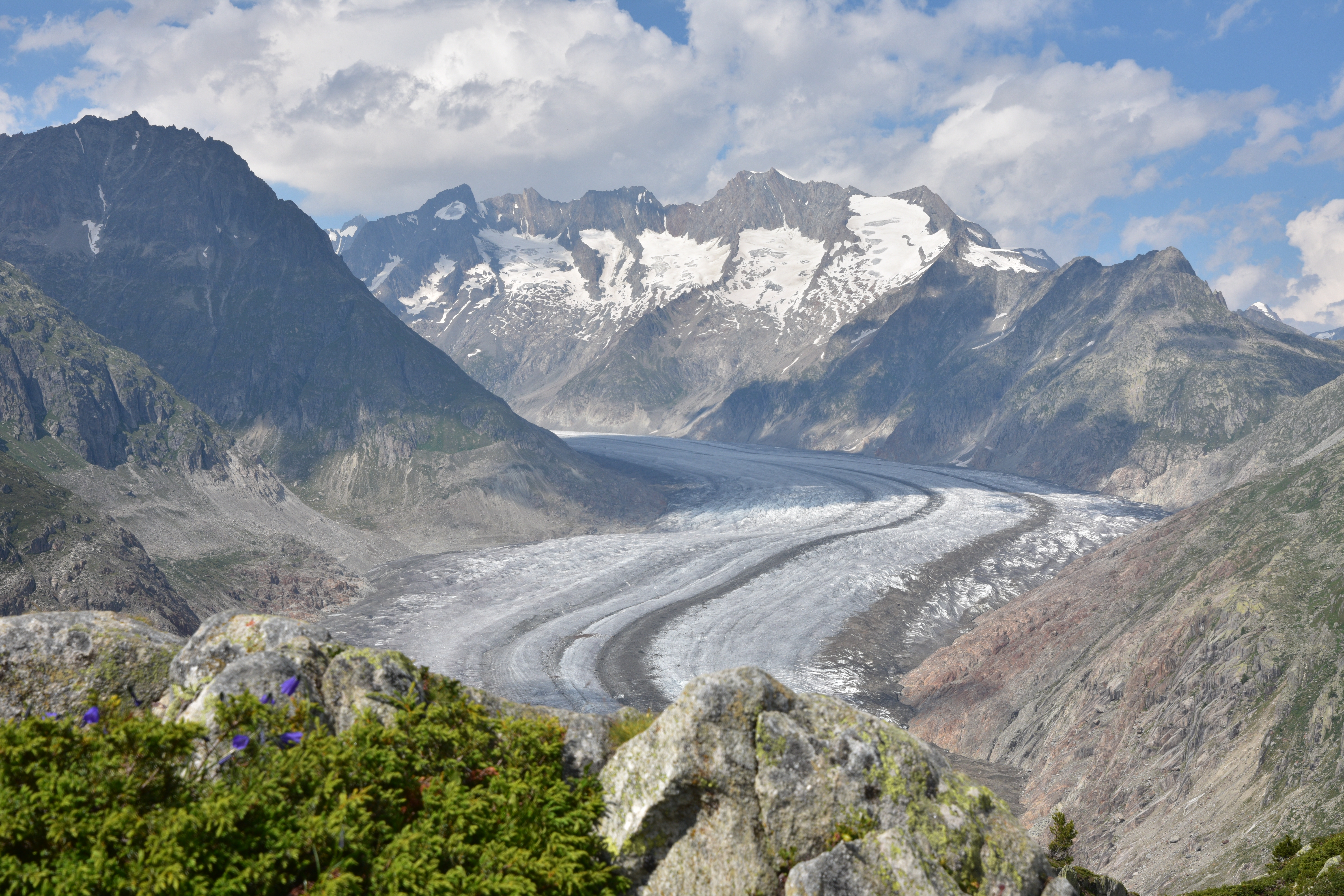 Le glacier d’aletsch depuis Mossfluh, l’un des plus beaux points de vue sur le glacier
