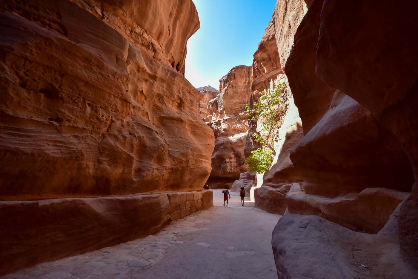 Le siq de Petra, première étape d’une visite de la capitale des Nabatéens