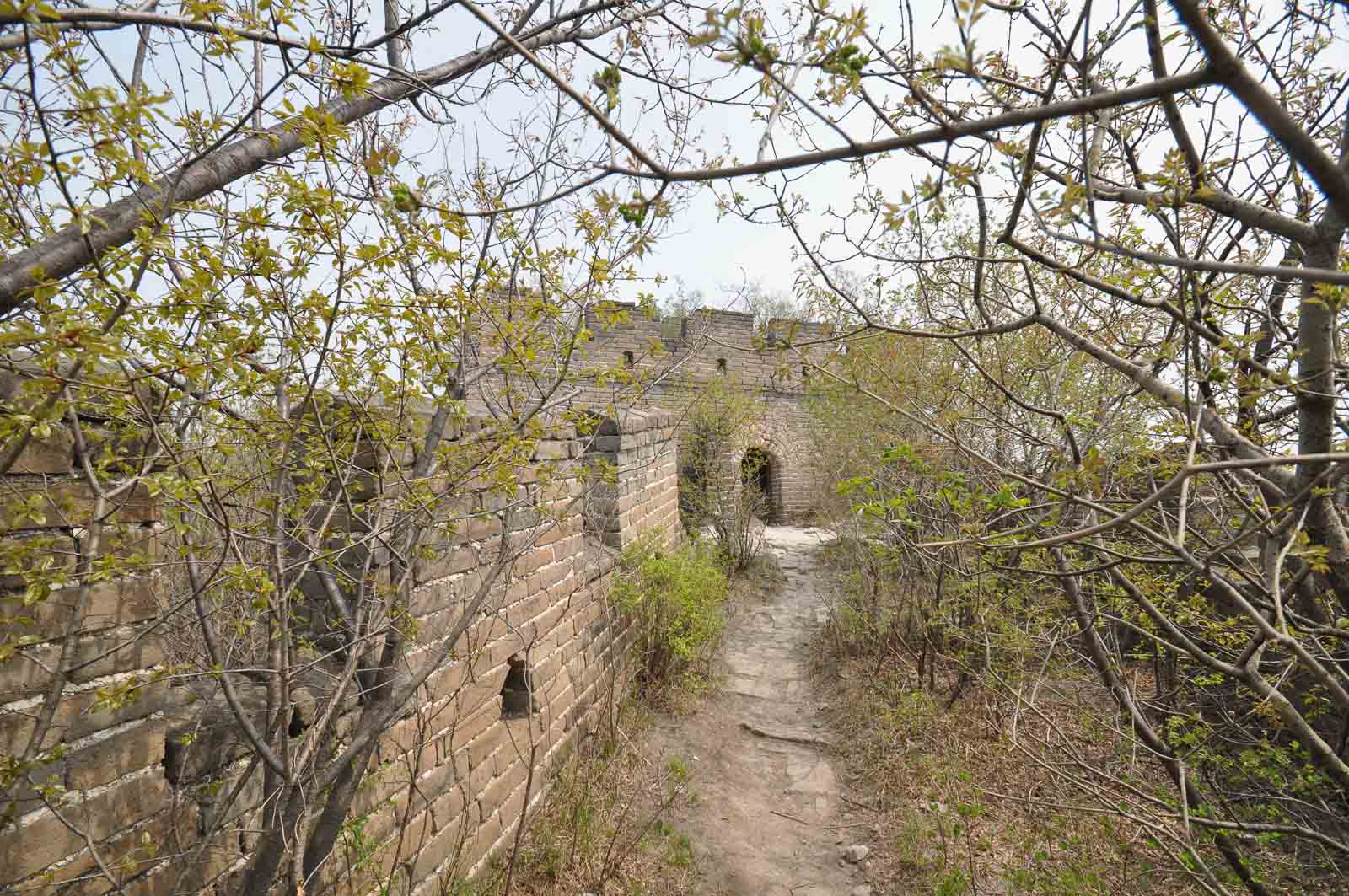 Randonner sur la Grande Muraille de Zhengbeilou Tower à Mutianyu