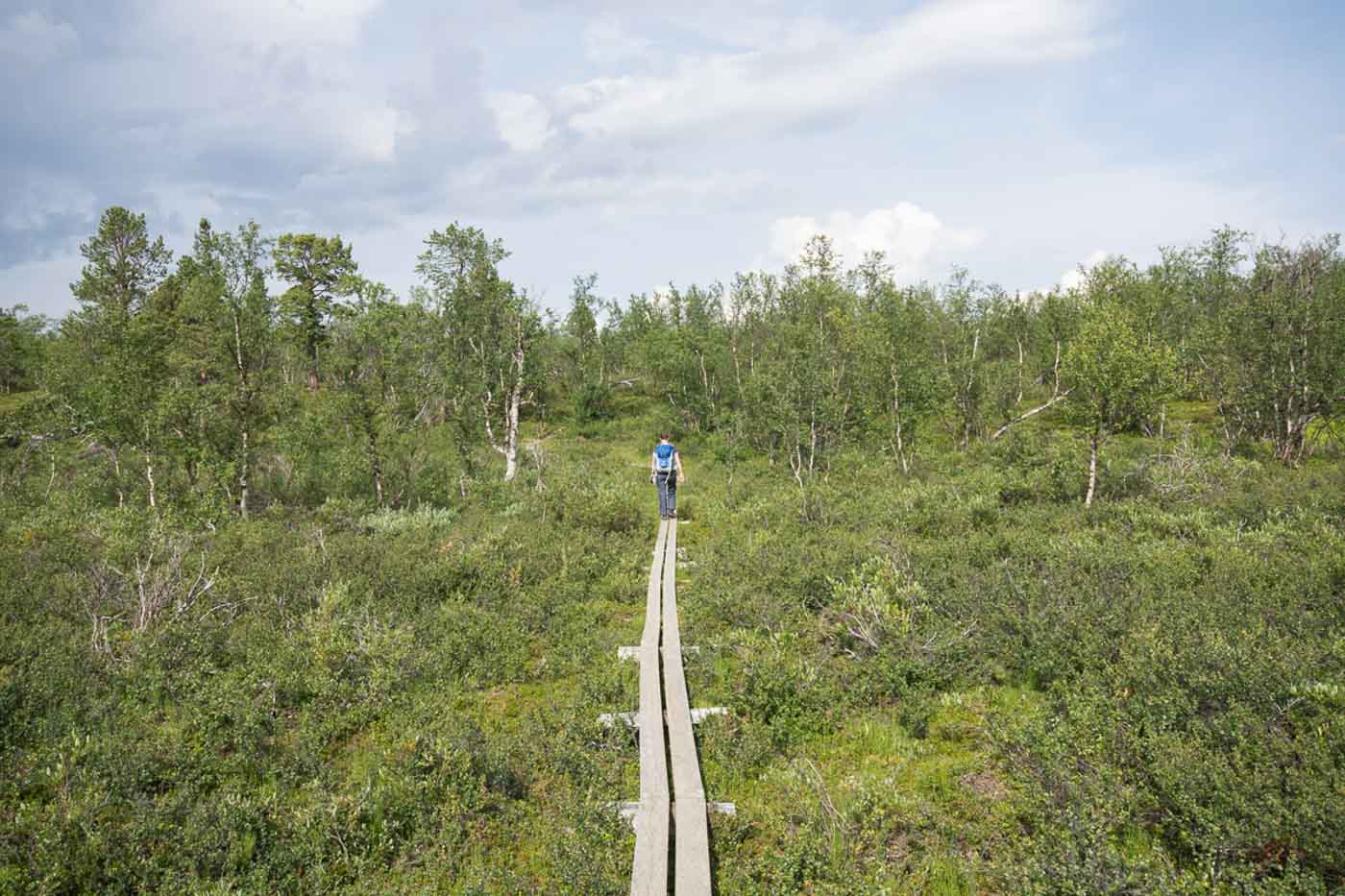 Chemin de planches dans le parc national d’Abisko