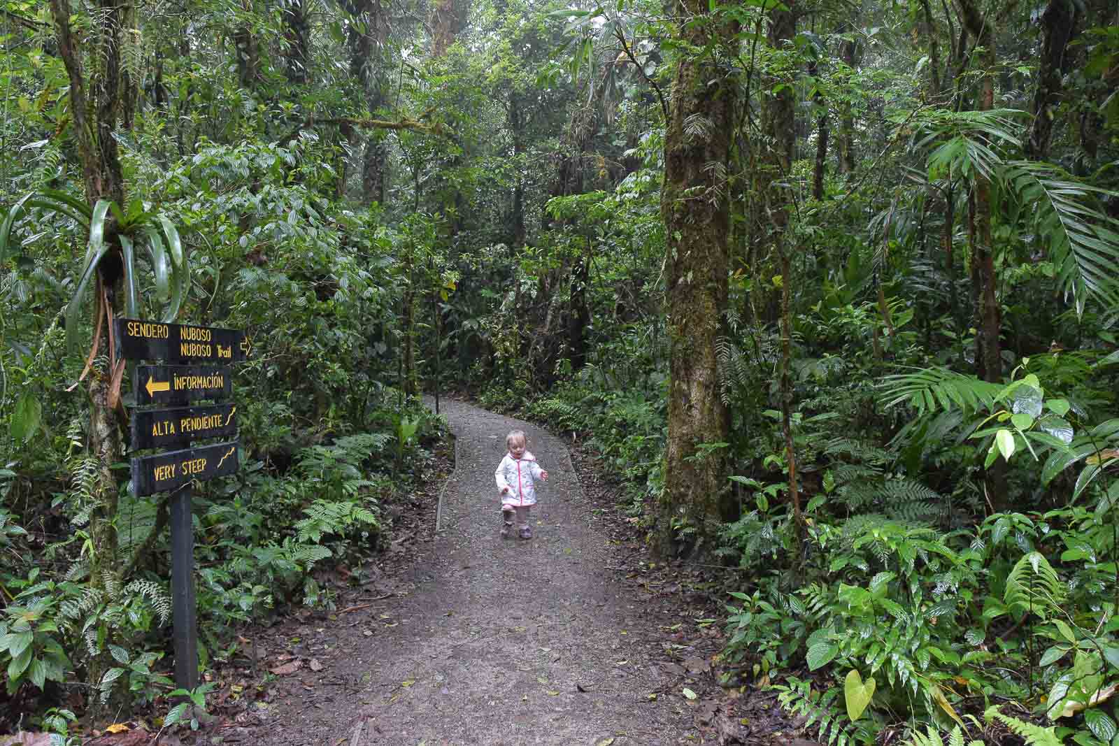 Intersection des sentiers de Monteverde