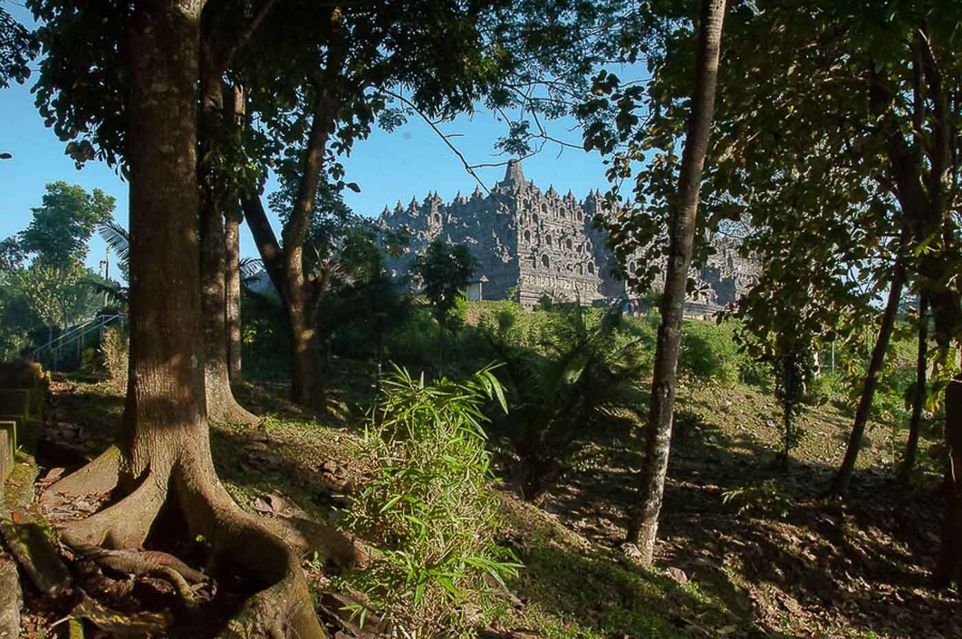 Borobudur à travers les arbres