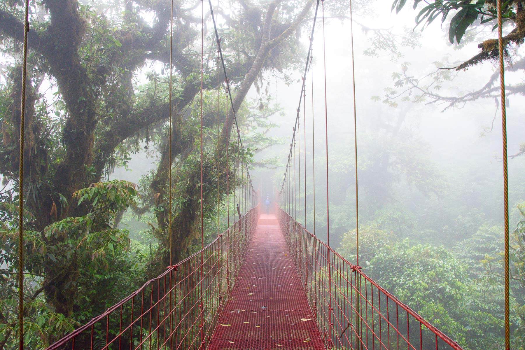 Les réserves de Monteverde au Costa Rica