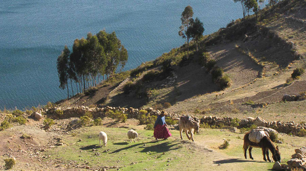 Isla del Sol et lac Titicaca
