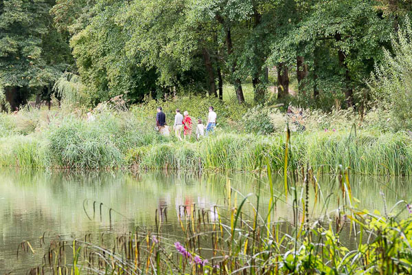 Balade nature près de Paris : étangs de Corot